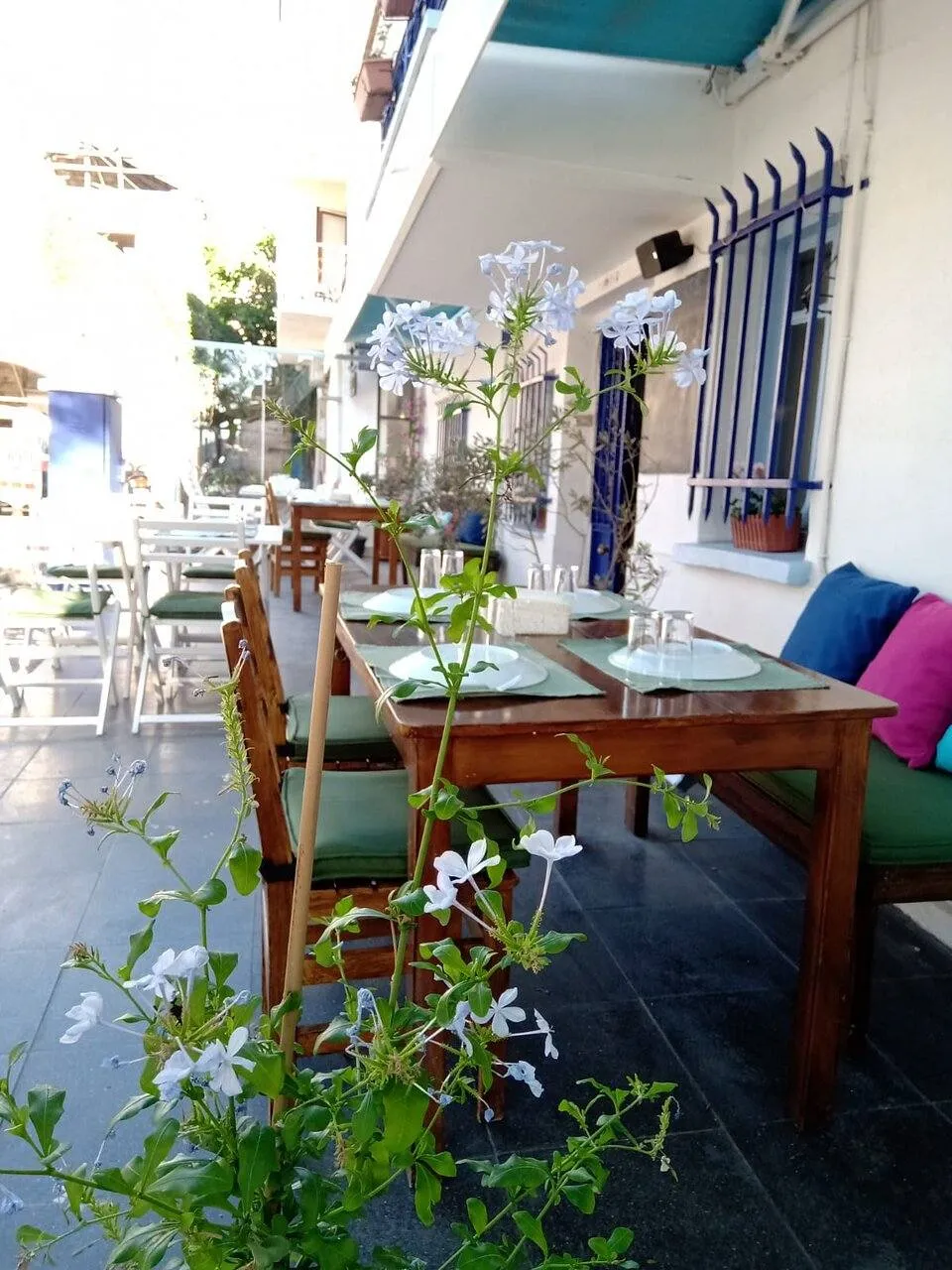 O'Kafe Ayvalık